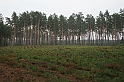 Rostoczek 11.2008 023